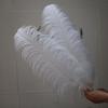 60-65cm Thick Stem, Wide Feather White (Customizable Color)