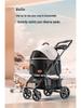 Pet Stroller with Universal Wheels and Rain Cover for Small Dogs