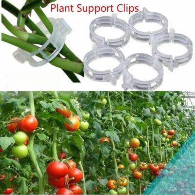 1/5/10/20 PEZZI Plastica Piante da Giardino Fiori Legati Fascio Clip per Rami Strumenti di Fissaggio Viti di Rattan e Verdure Unità di Fissaggio