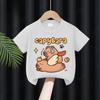 Kids Summer TShirts ShortSleeved Cartoon Print Pure Polyester Fashionable And Stylish Childrens Clothing