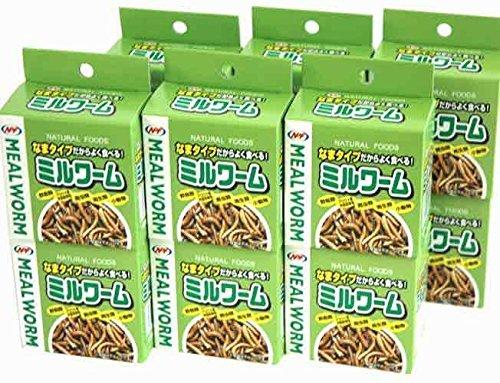 

NPF mealworm 35g raw type x 12 pieces set (canned mealworm)