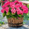 Artificial Geraniums Flowers for Outdoors Summer Decor, 4 Bundles UV Resistant Fake Geraniums Flowers Silk Faux Plants for Home Planter Gardens Table