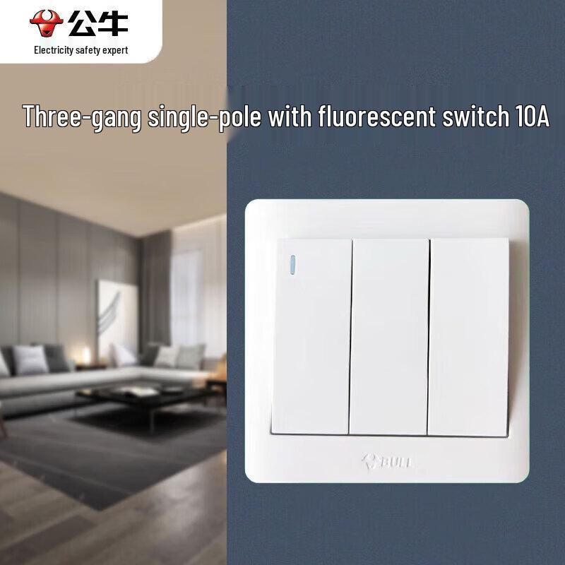 BULL 10A Wall Switch Socket Panel with Fluorescent Switch