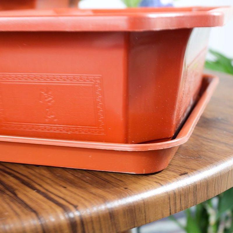 Large Rectangular Plastic Flower and Vegetable Planting Pot | Bonsai and Ficus Planter with Base