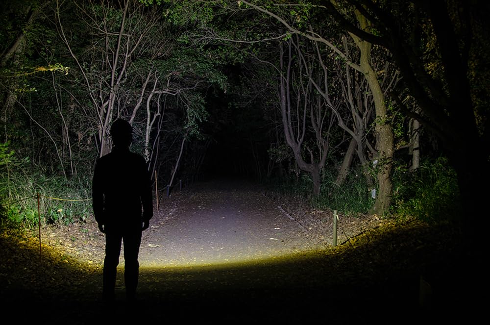 GENTOS LED USB 780 Run Rear Warning Requires Rechargeable Battery or 3 AA Batteries Astram Headlamp, Rechargeable, Lumens, 2-Hour Time, Light, (Sold