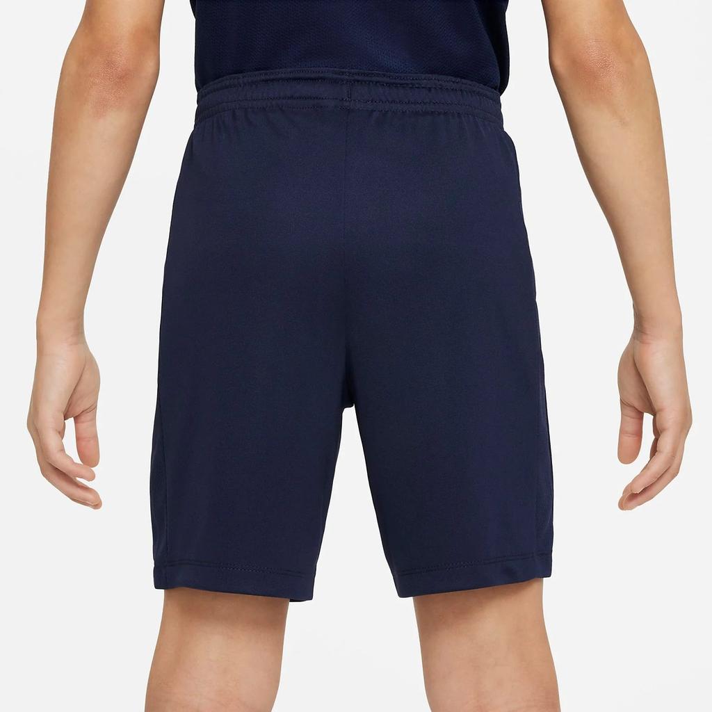 Nike Kids Shorts Moderate DR1364-451