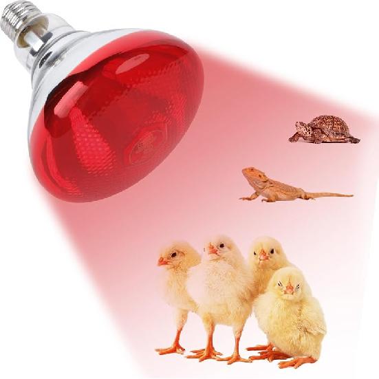 250W Red Heat Lamp Bulbs for Chicken,Infrared Flood Light Heat Lamp Bulb, Incandescent Light Heat Lamps for Chicks, Reptile, Pets, Par38 Glass E26 250W 1PCS