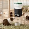 Leak-Proof Heated Rabbit Water Bottle Large Capacity Rabbit Drinking Bottle  Small Rodents