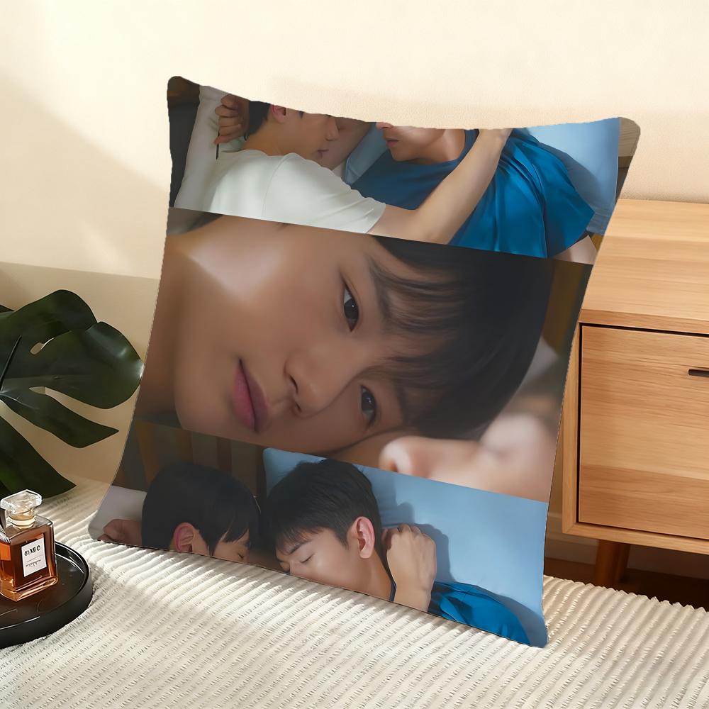 Cushion Cover Silky Short Plush Home Sofa Cushion Cover - Invisible Zipper Home Decoration A Breeze Of Love