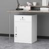 Laicai Office File Storage Cabinet - 1 Drawer, 1 Door, Fingerprint Lock