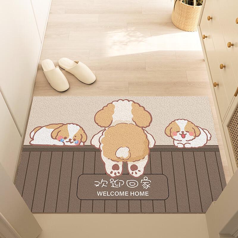 Silk Ring Entrance Door Mat: Dirt-Resistant, Anti-Slip, Cuttable Hallway Foot Mat 40x60cm
