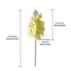 Butterfly Orchid Artificial Phalaenopsis Flower Long-lasting PVC Faux Orchid Stems Real Touch Single Branch Simulation Orchid