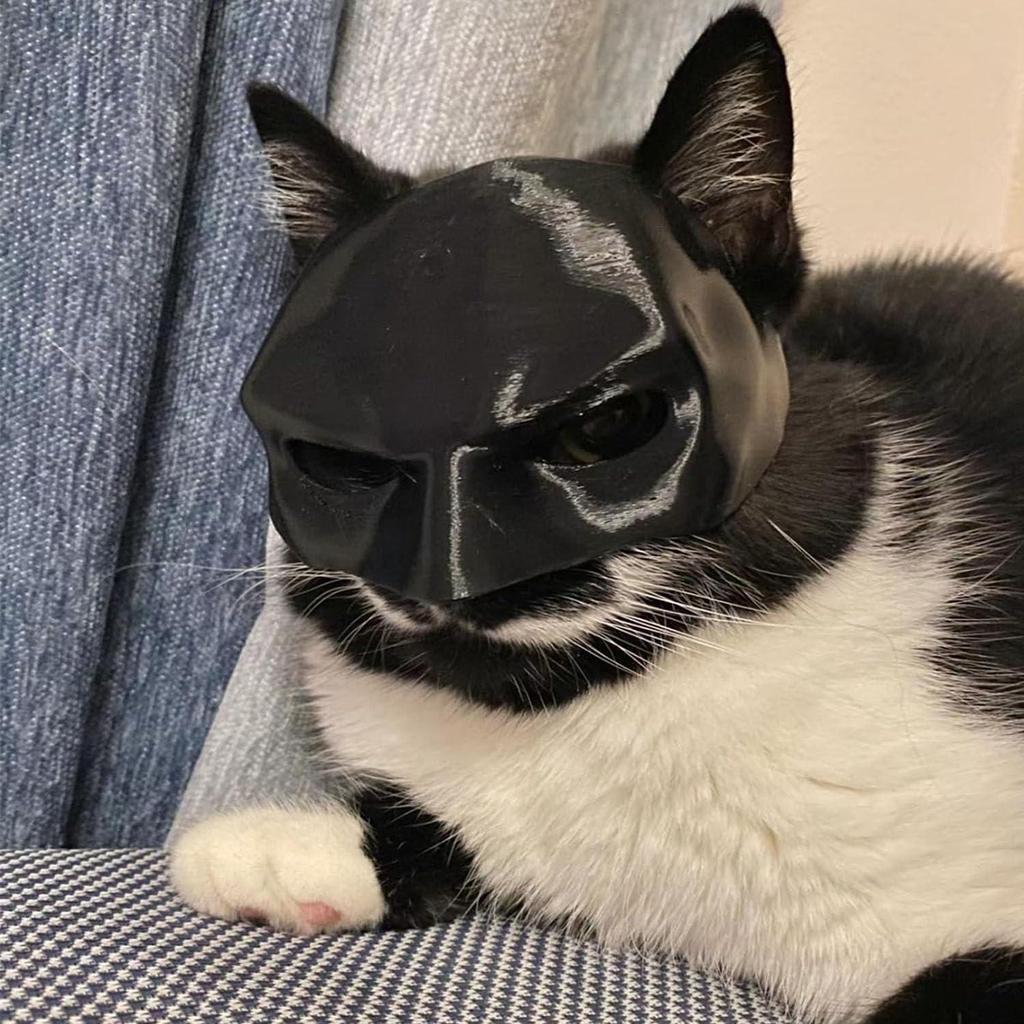 Cat Avenger Mask Bat Halloween 3D Printed Cosplay Hat Cat  Funny Toys Photos Props Pet Accessories
