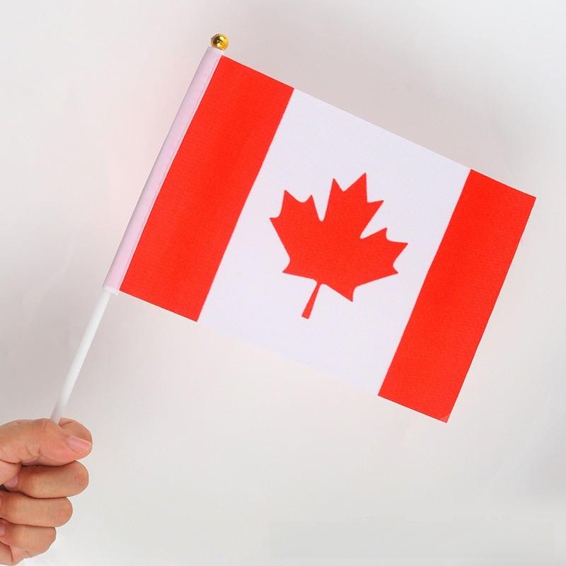 Global Football Cup Polyester Handheld Flags For Sports Fans And Festivals