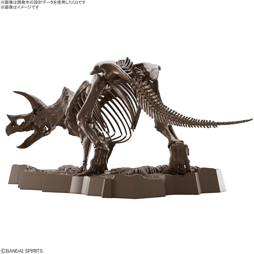 BANDAI SPIRITS (Bandai Spirits) Imaginary Skeleton (Imaginary Skeleton) Triceratops 1/32 scale pl...