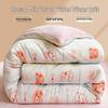 Thickened Velvet Quilt: Warm Coral Fleece for Winter, Spring, and Autumn