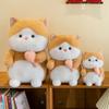 Toy Plush Cat Fish Hugging Doll Stuffed Animal Cartoon Kitty Home Gift Decor