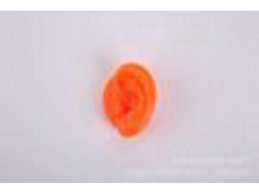 Silicone Ear Model for Training, Display & Ear Studs or Earphones
