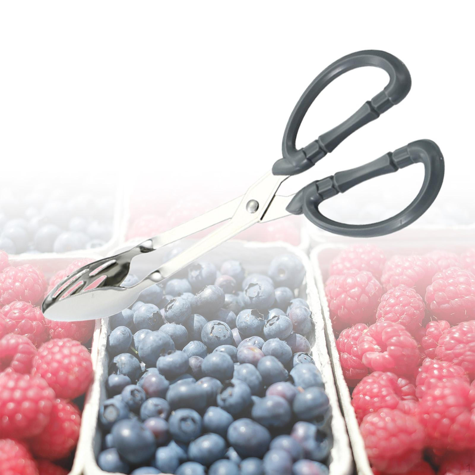 

Buffet Kitchen Tongs for Serving 10 inch Stainless Steel with Non Slip Handle Salad Style C