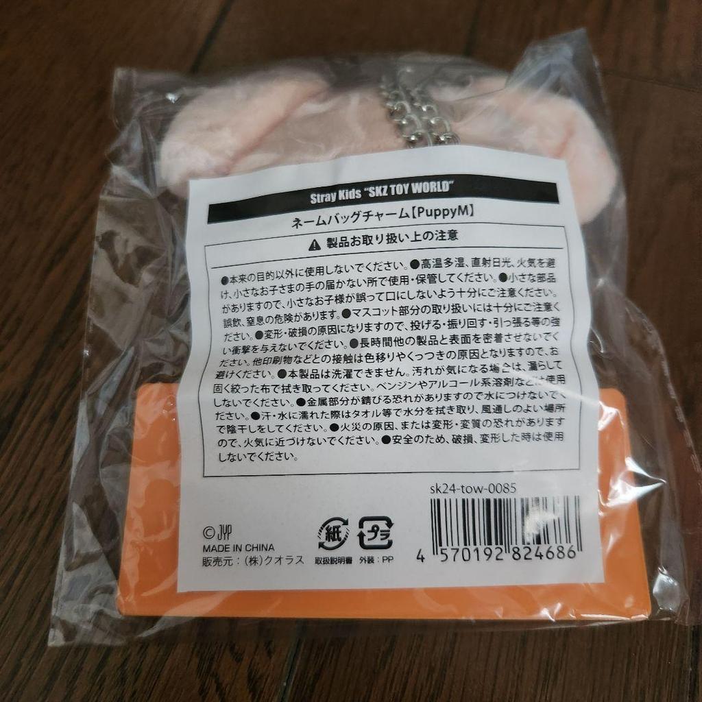 [USED] Stray Kids Name Back Charm Papim Seungmin