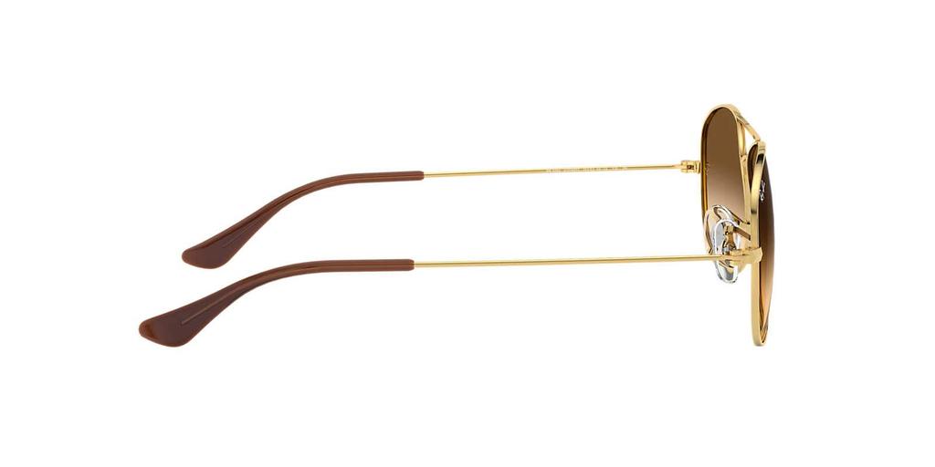 Sunglasses 0RB3362 COCKPIT CLEAR GRADIENT BROWN 59 [Ray-Ban] 001/51