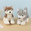 Cute Simulation Puppy Dog Doll Plush Toy Husky Doll Children Soothing Rag Doll Girl Birthday Gift