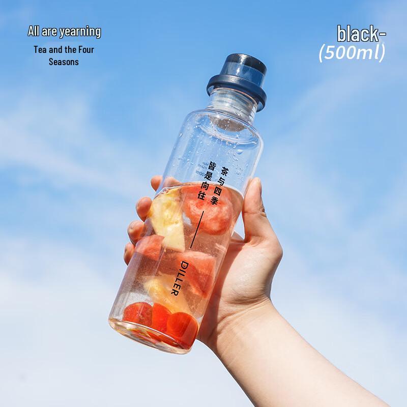 Dilebell 500ML Cold Brew Glass Tea Bottle - Tea & Four Seasons