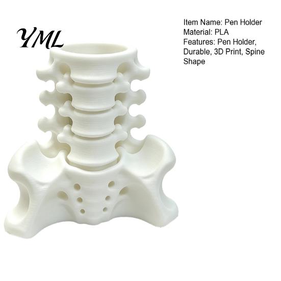 Unique Office Accessories Simulated Spine Pen Holder, Creative Skeleton Desktop Organizer, Durable Stationery PLA 3D Printed Anatomy Ornament for Home