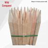 Pointed Wooden Survey Stakes