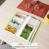 Kokuyo Album Pochette Album Coloree A4 Slim L Size 300 Sheets Orange A-NPV30YR