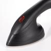 RAF R18001 European Standard Mini Handheld Steam Iron - Lightweight and Compact Household Appliance