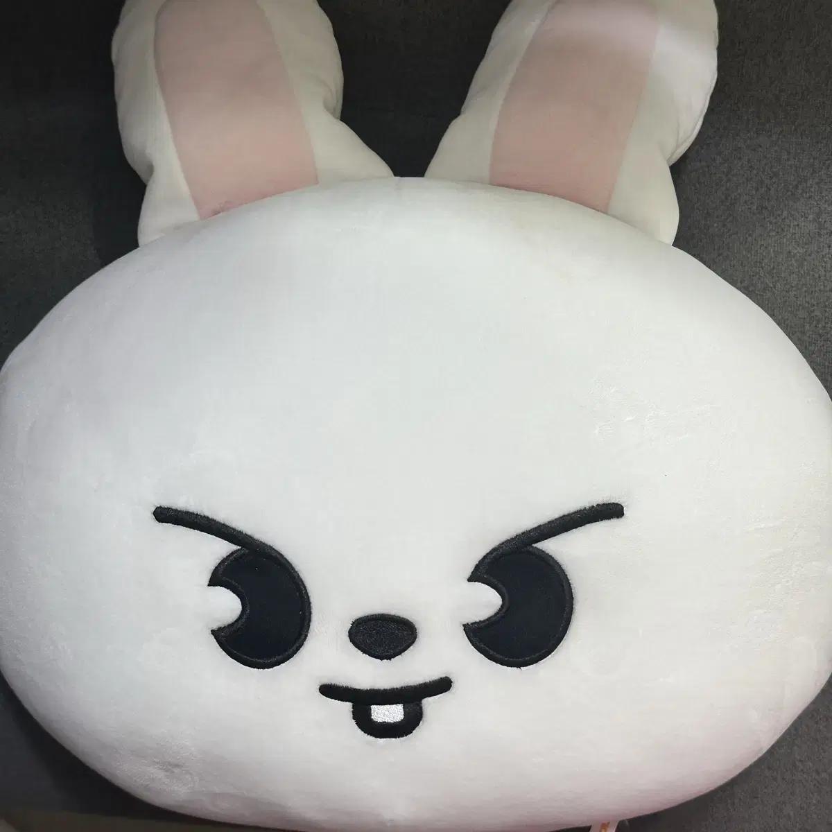 

Straykids Rivet Cushion