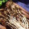 Funghi di Albero del Tè Essiccati Agrocybe Aegerita Tè Energetico Naturale 100g