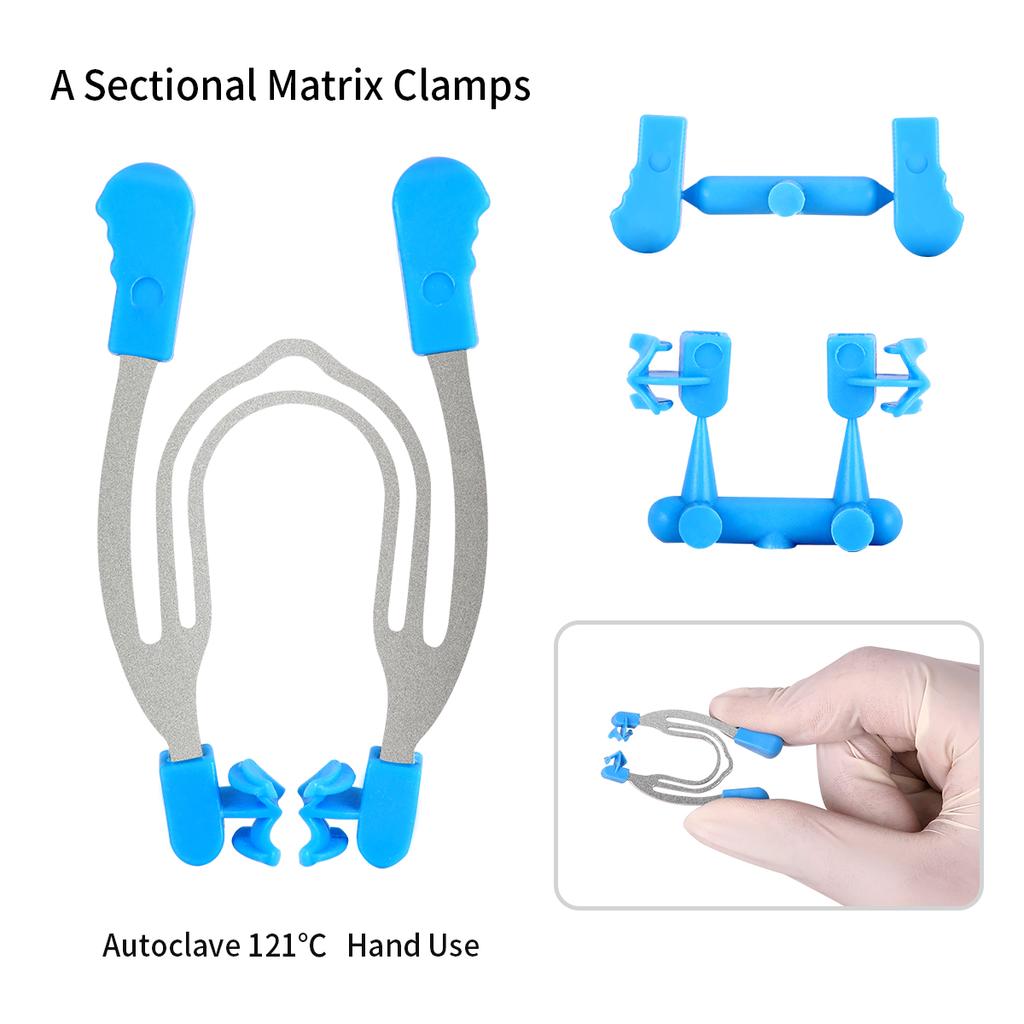 Dental Matrix Sectional Contoured Matrices Clamps Model With Replacement Parts For Dental Restoration Tools