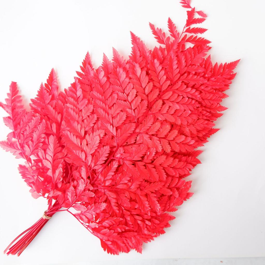 Eternal Alpine Fern Golden Alpine Fern Leaf Immortal Flower Dried Flower Bouquet Wedding Decoration With Grass