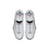 Air Jordan True Flight 'White Cement' Jordan 342964-104
