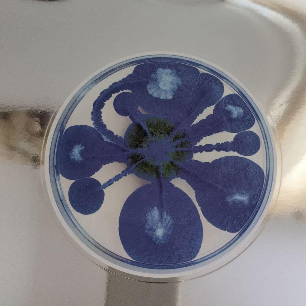 [USED] XG Mini Album NEW DNA