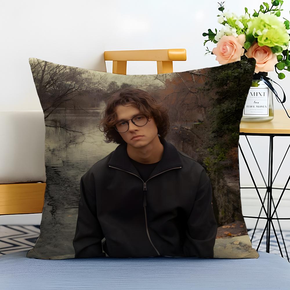 Fashion Pop Melancholic Singer DDavid Kushner Cushion Cover Washable Linen Pillowcase Soft for Sofa Bed Cozy Home Room Decor
