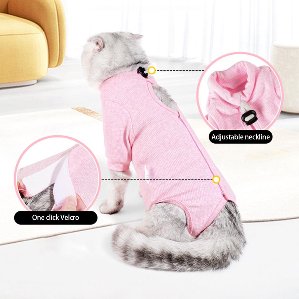 Μαλακή Φόρμα Ανάρρωσης Για Γάτες Μετά Από Χειρουργείο Άνετη Αναπνέουσα Αποτρέπει το Γλείψιμο Επιταχύνει τη Διαδικασία Επούλωσης Για Μικρές Γάτες