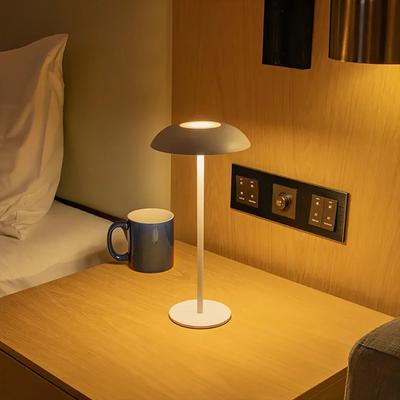 Šviesos diodų lempos – LED saliniai šviestuvai