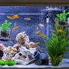 Aquarium Decoration Plant Cup Pot Acrylic Aquatic Plant Cup With Suction Holder Planting Cylinder Cup Aquarium Accessories