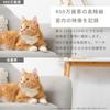 Kashimura Smart Camera 4MP/AI/High Brightness 4MP Human Recognition AI Motion Detection Built-in Microphone & Speaker High Brightness LED Compatible w