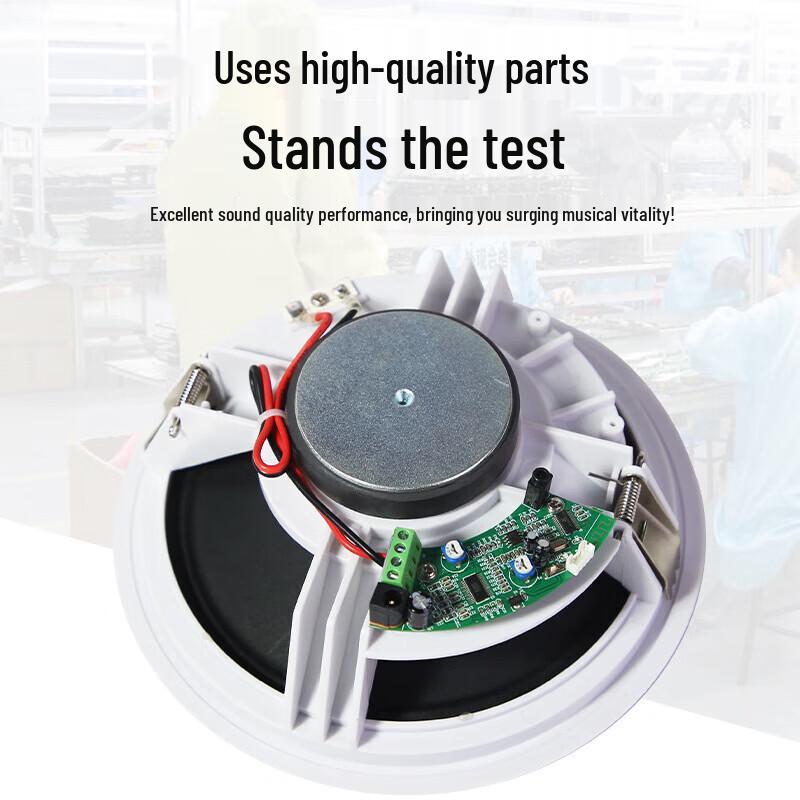 Shangshitong TH-618 Professional Coaxial Ceiling Speaker (CN Version)