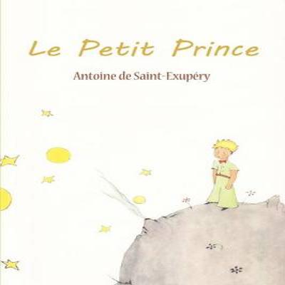 Le Petit Prince by Antoine De SaintExupery Paperback Book 9781607964155
