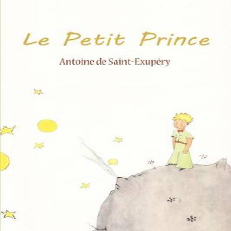 Le Petit Prince by Antoine De SaintExupery Paperback Book 9781607964155
