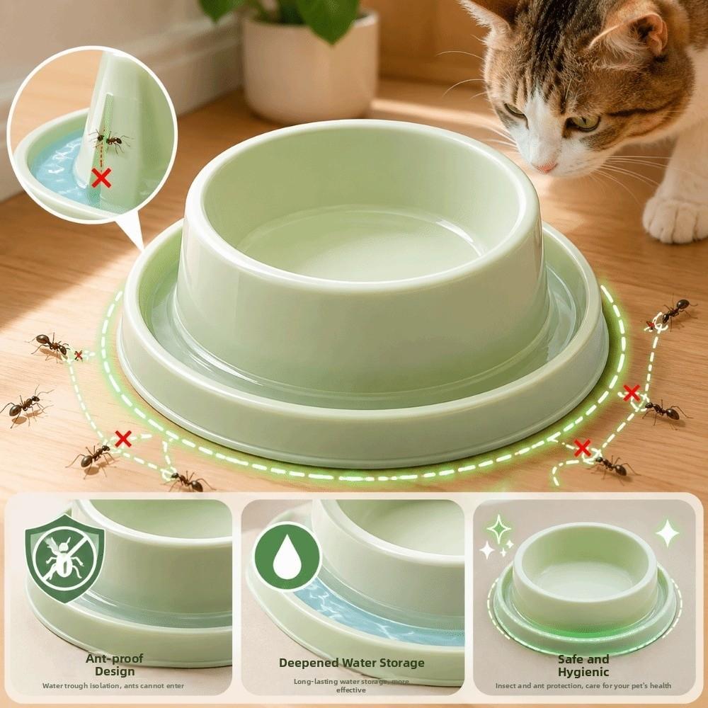 Round Dog Bowl Elevated Cat Bowl Fun Design Pet Bowl Indoor Feeding