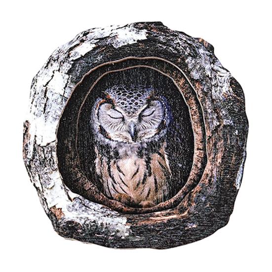 Tree Hole Animal Refrigerator Magnet Wooden Animal Fridge Magnet Home Office Kitchen Cabinet Locker Whiteboard Decoration