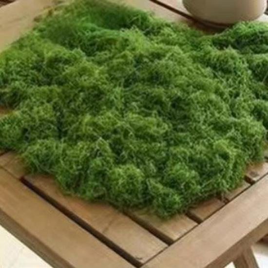Artificial Jungle Moss Turf for Landscaping and Decor