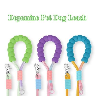 Cani – Collari e guinzagli per cani