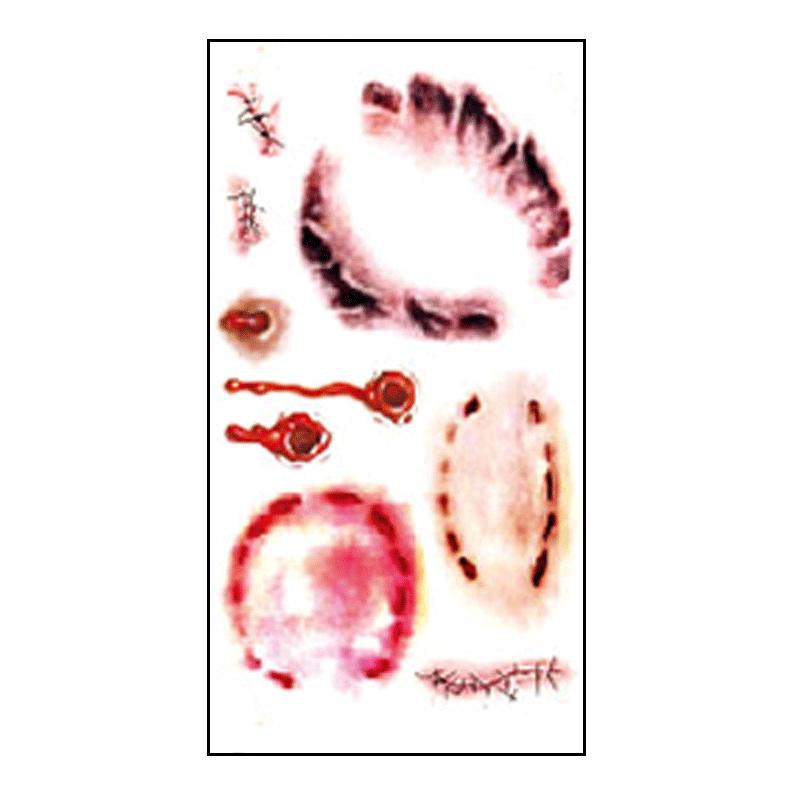 Buy Temporary Tattoos Body Art 3D Sketch Scratch Insect Halloween ...